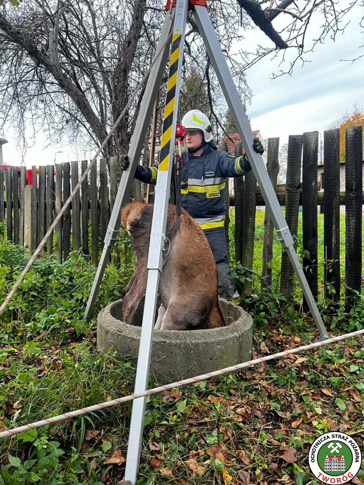 311782452 546253374171259 5257069005933958146 n