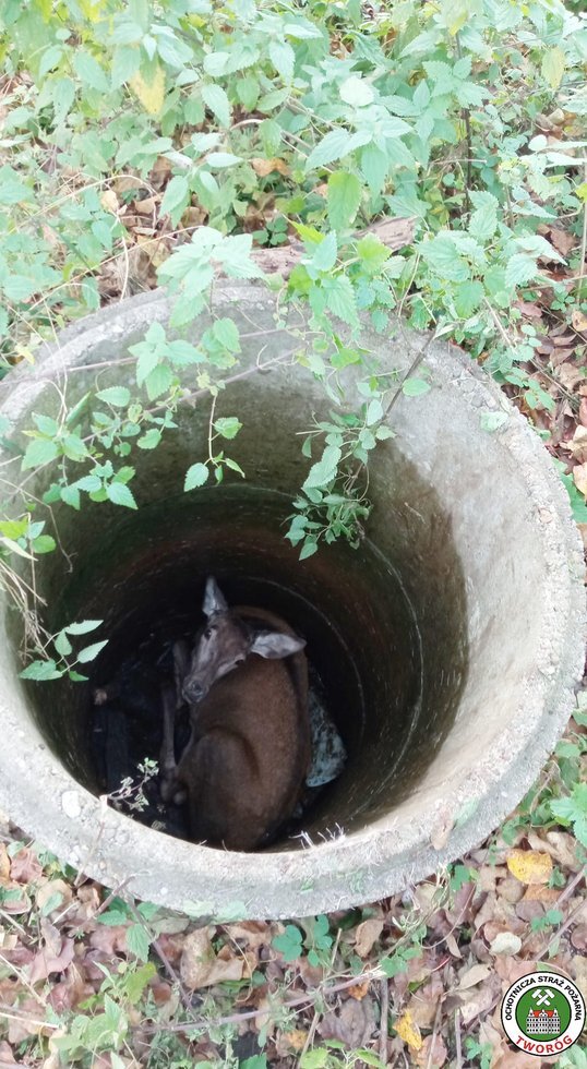 313288185 546253207504609 6460846459509784841 n