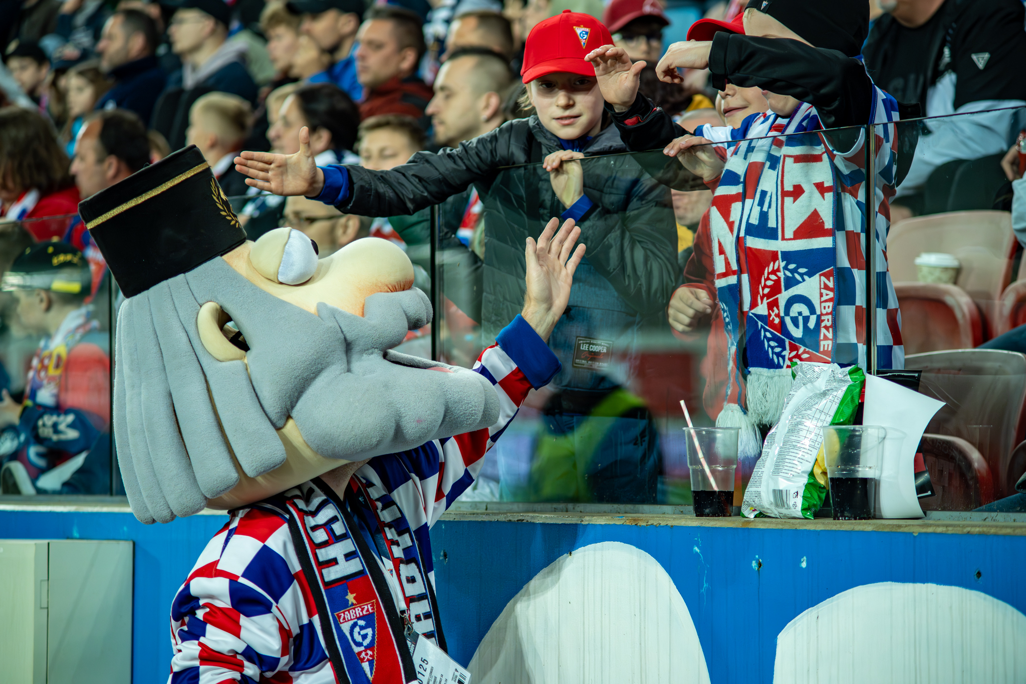 Górnik Zabrze - Puszcza Niepołomice 1:1