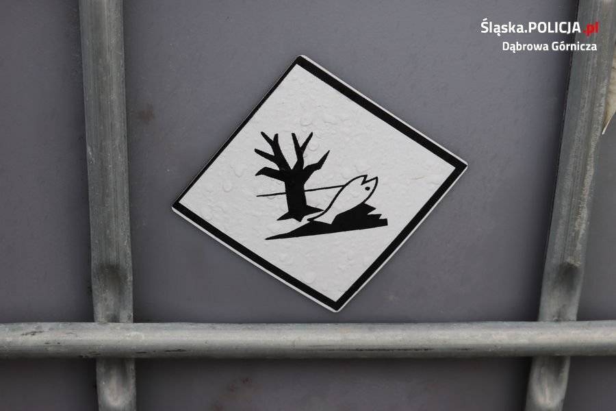 43 606357