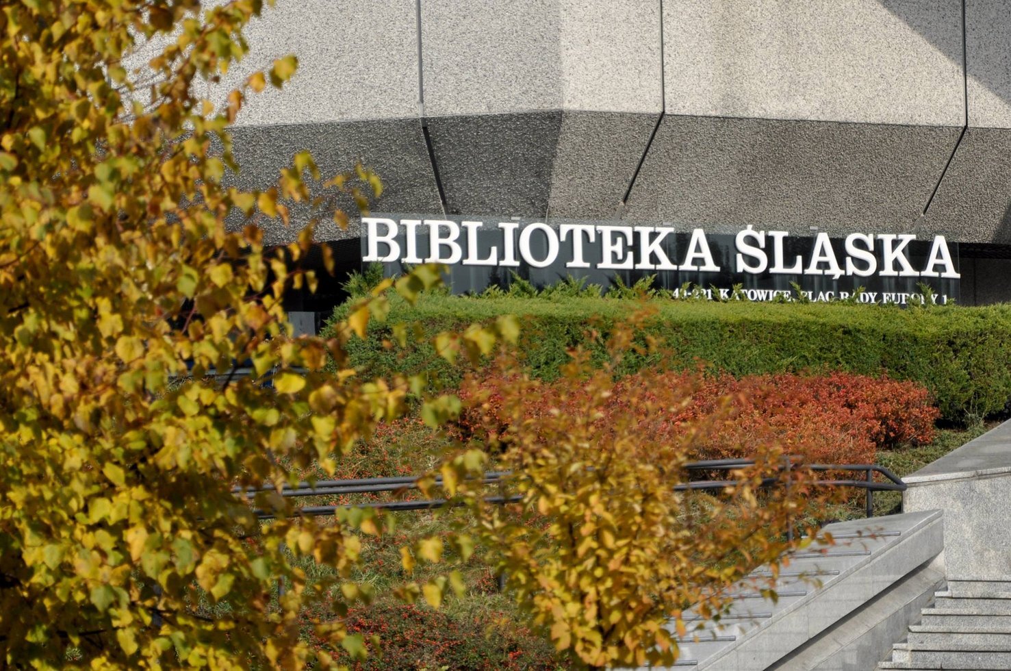 43124691 1940516049304564 192166715247820800 o