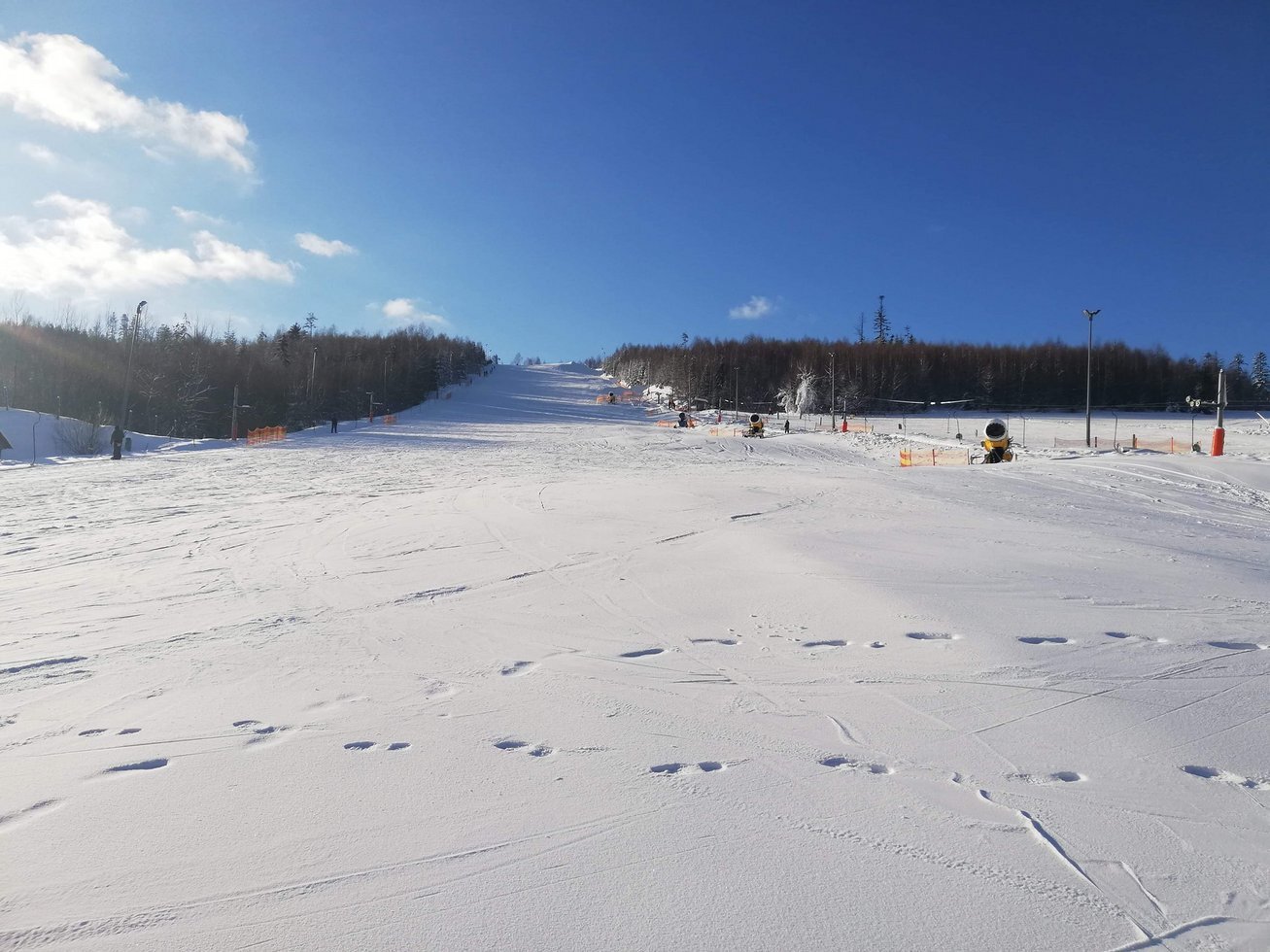 49748424 2167571239973159 2825743659318640640 o