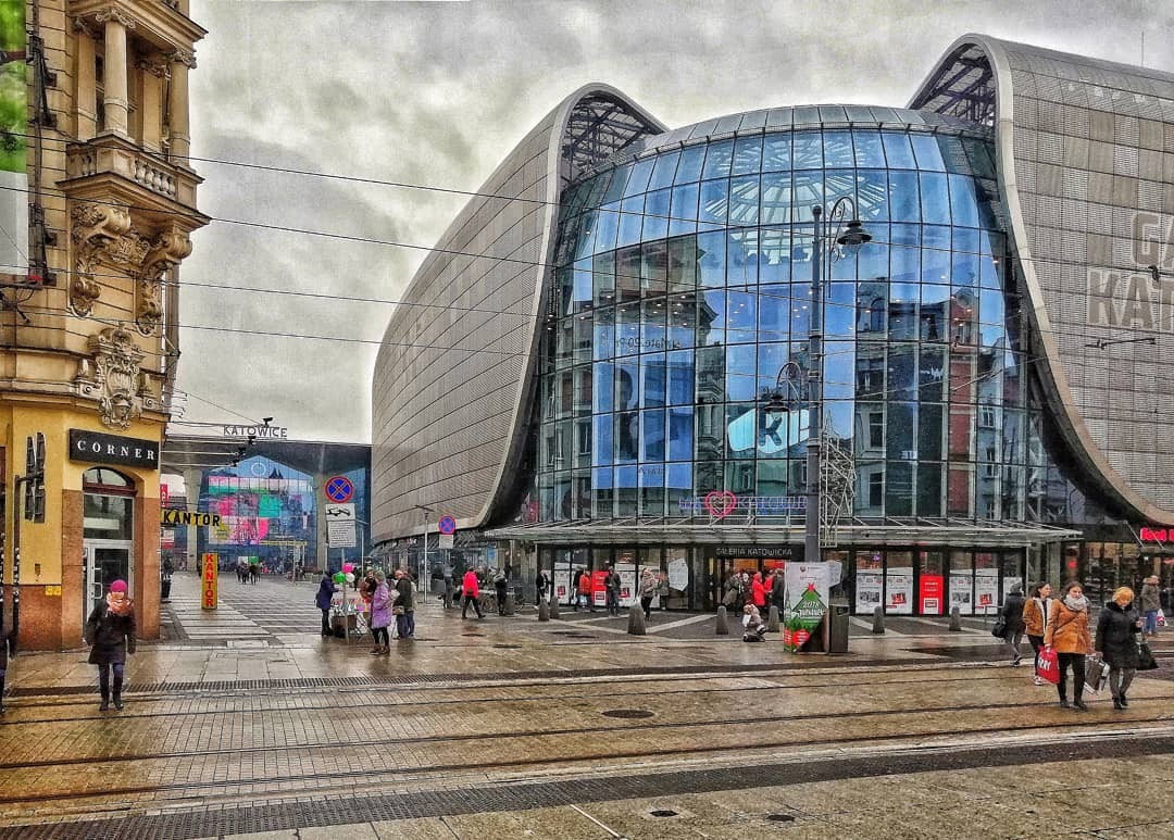 50257053 1233609716791063 8674508626976571392 o