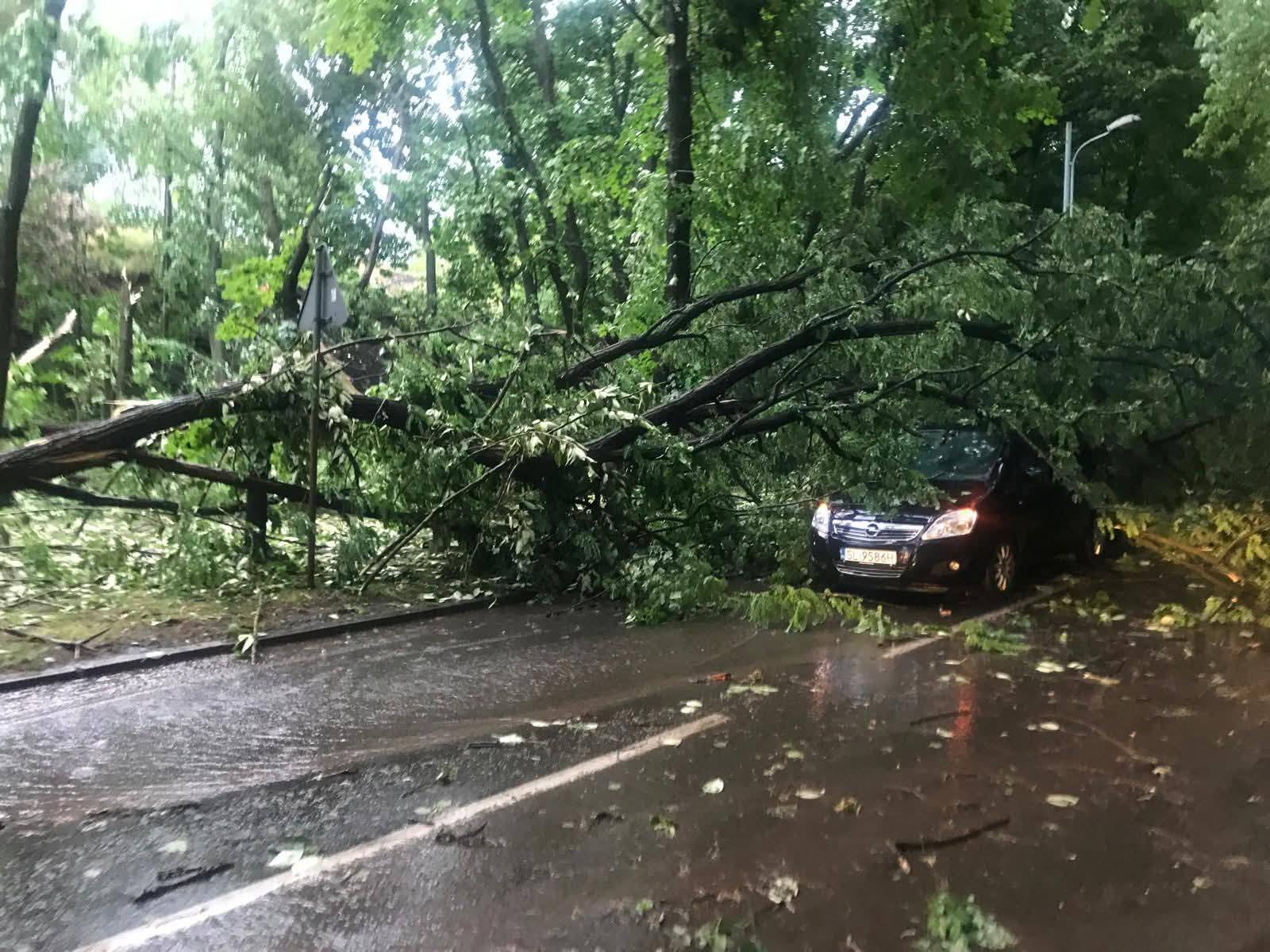 502589605 122211014990161828 1121729489694219002 n