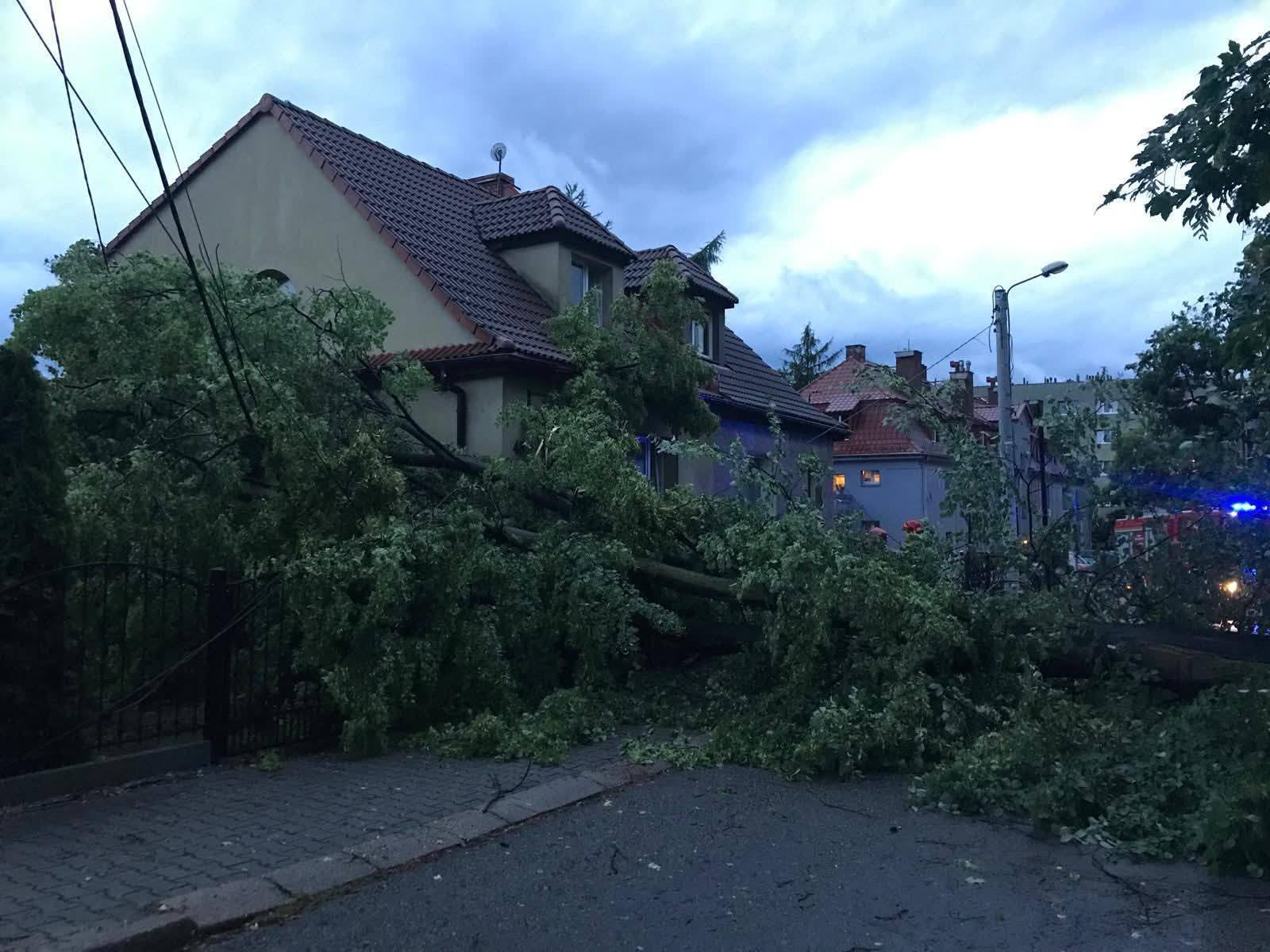 504274560 122211014894161828 8224848894739678401 n