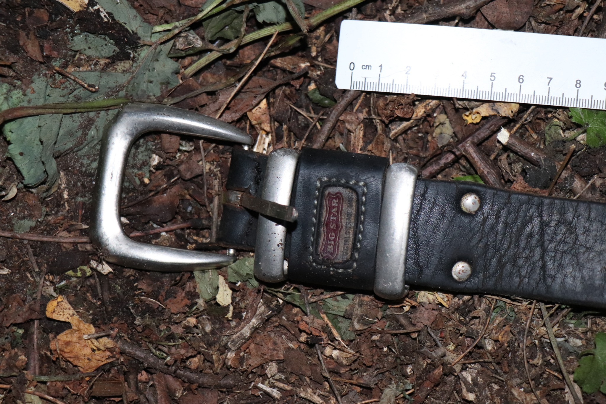 508560254 122119710830859434 4879855952818665679 n