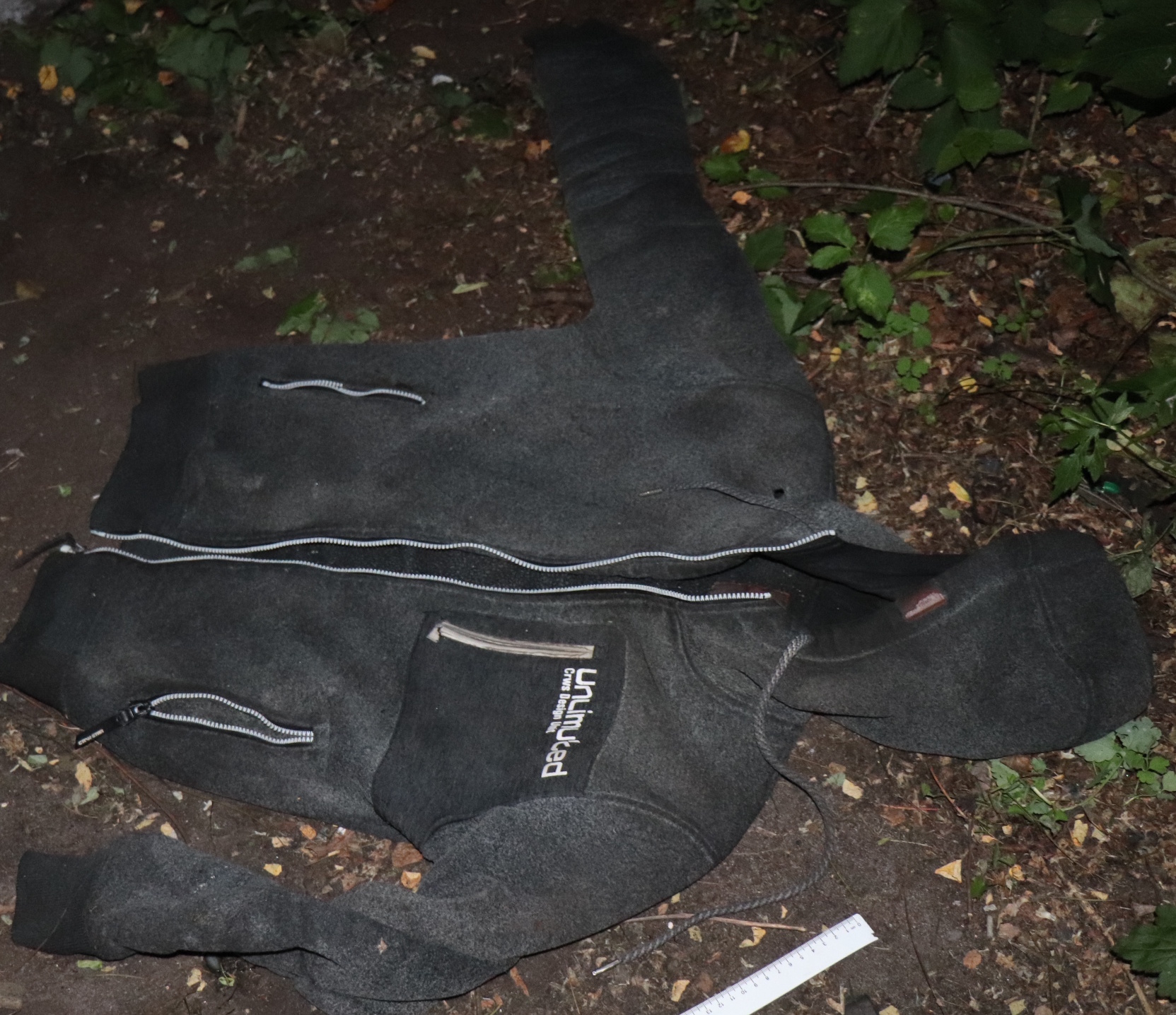 508723676 122119710644859434 7815569499705074573 n