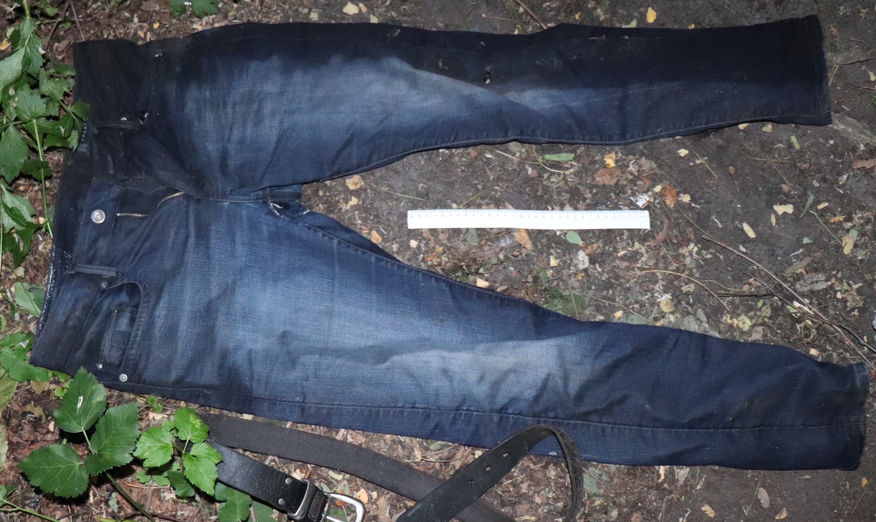 509644835 122119710680859434 2683664482311905293 n