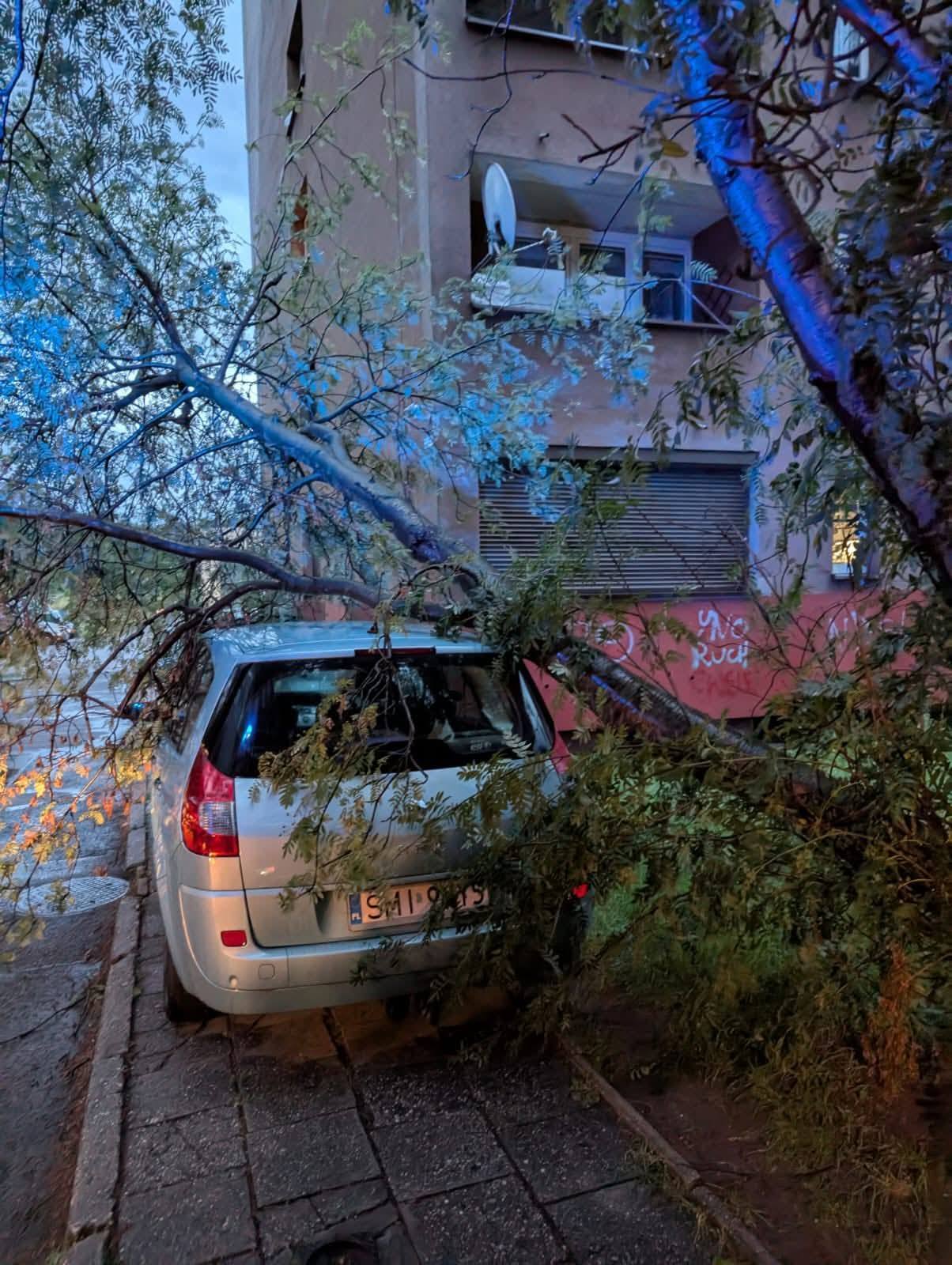 510320624 122211015182161828 6148615485466839900 n