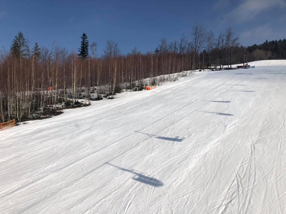 54516245 1510072849128071 2825246860451512320 n