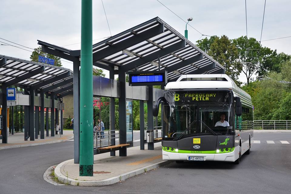 56520045 607484199663232 4044692155728396288 n