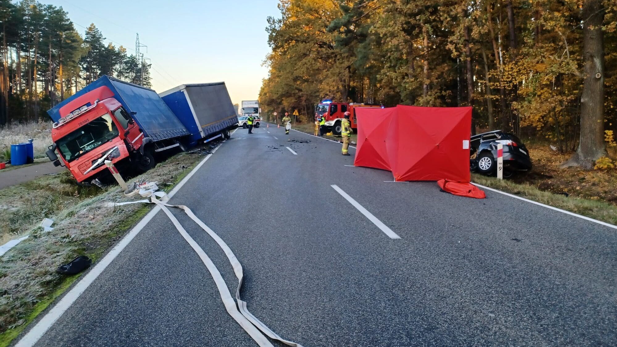 wypadek kolonia lisów