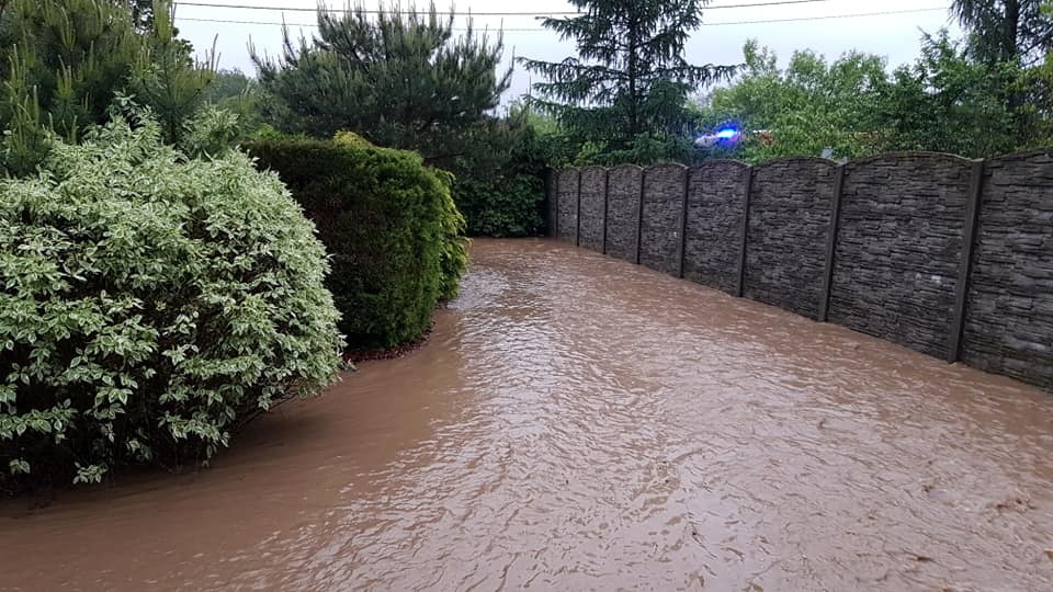 61251193 2645709385499424 8941293591469228032 n