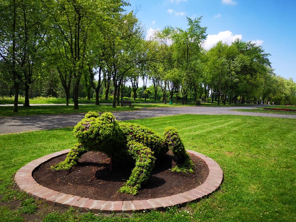 61769478 2529775960368358 9078115057493082112 n