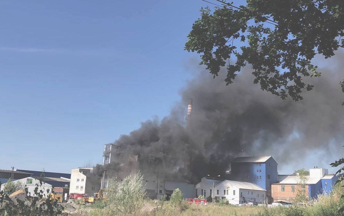 65918250 10217708206369415 1365972051654868992 o