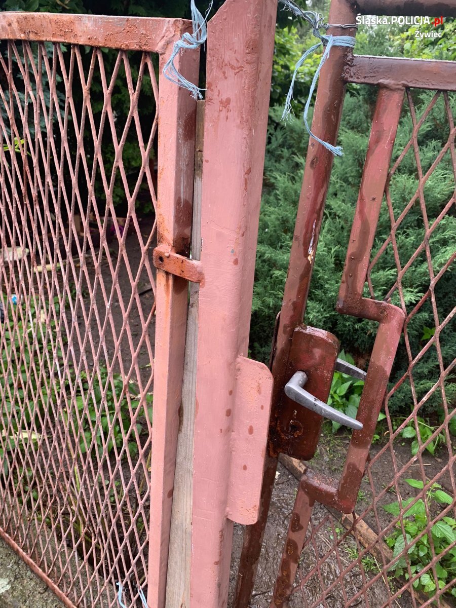 67 674507