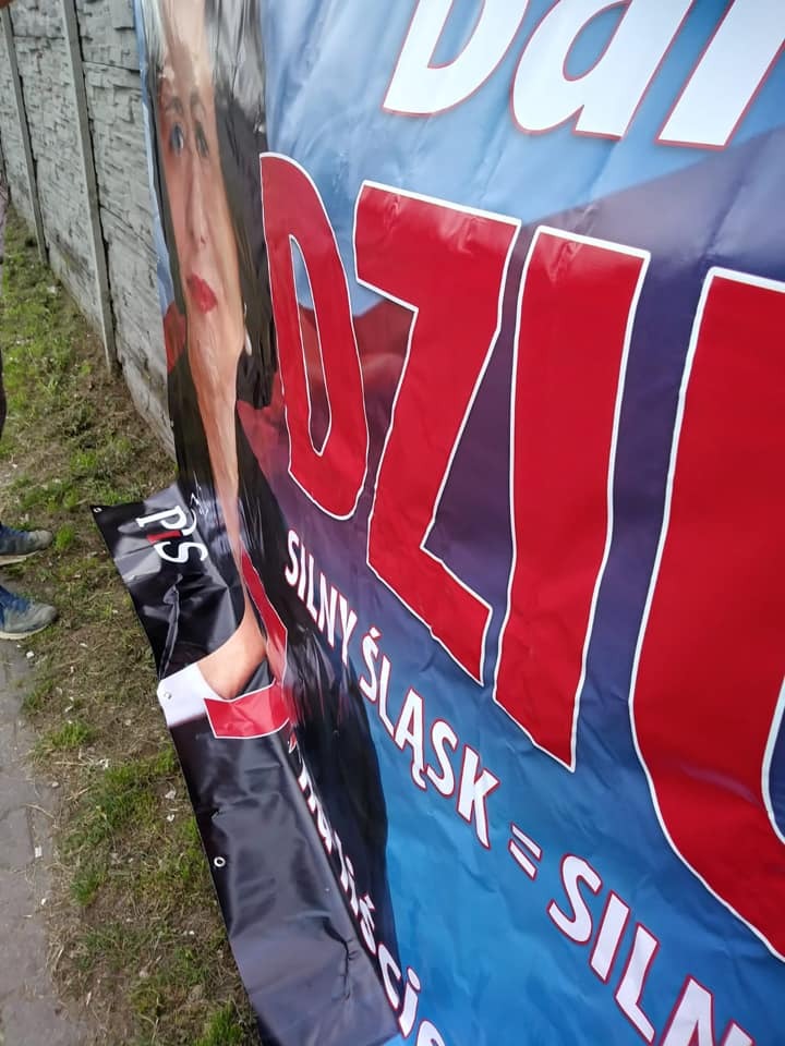 70321176 2635115089841100 7117950249125019648 n