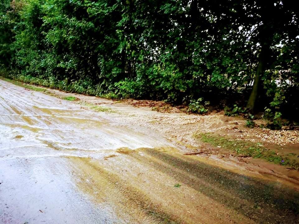 70683252 938543529845995 4450609910010347520 n