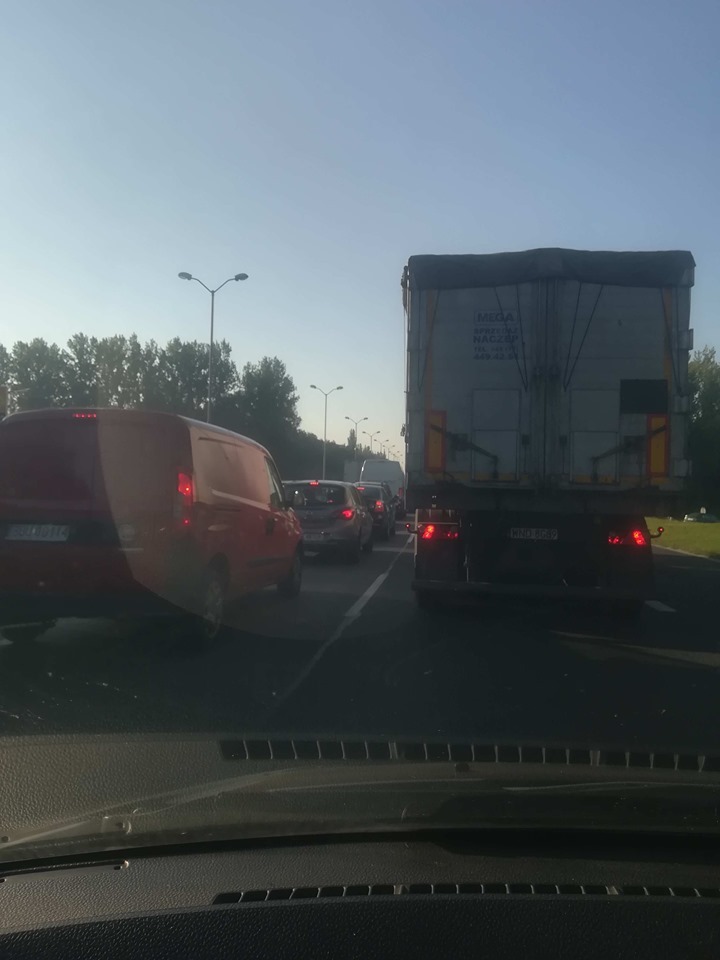 70739411 446067362674738 3010867074877620224 n