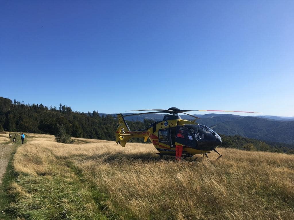 71405353 2726011894077001 2512161658881703936 o