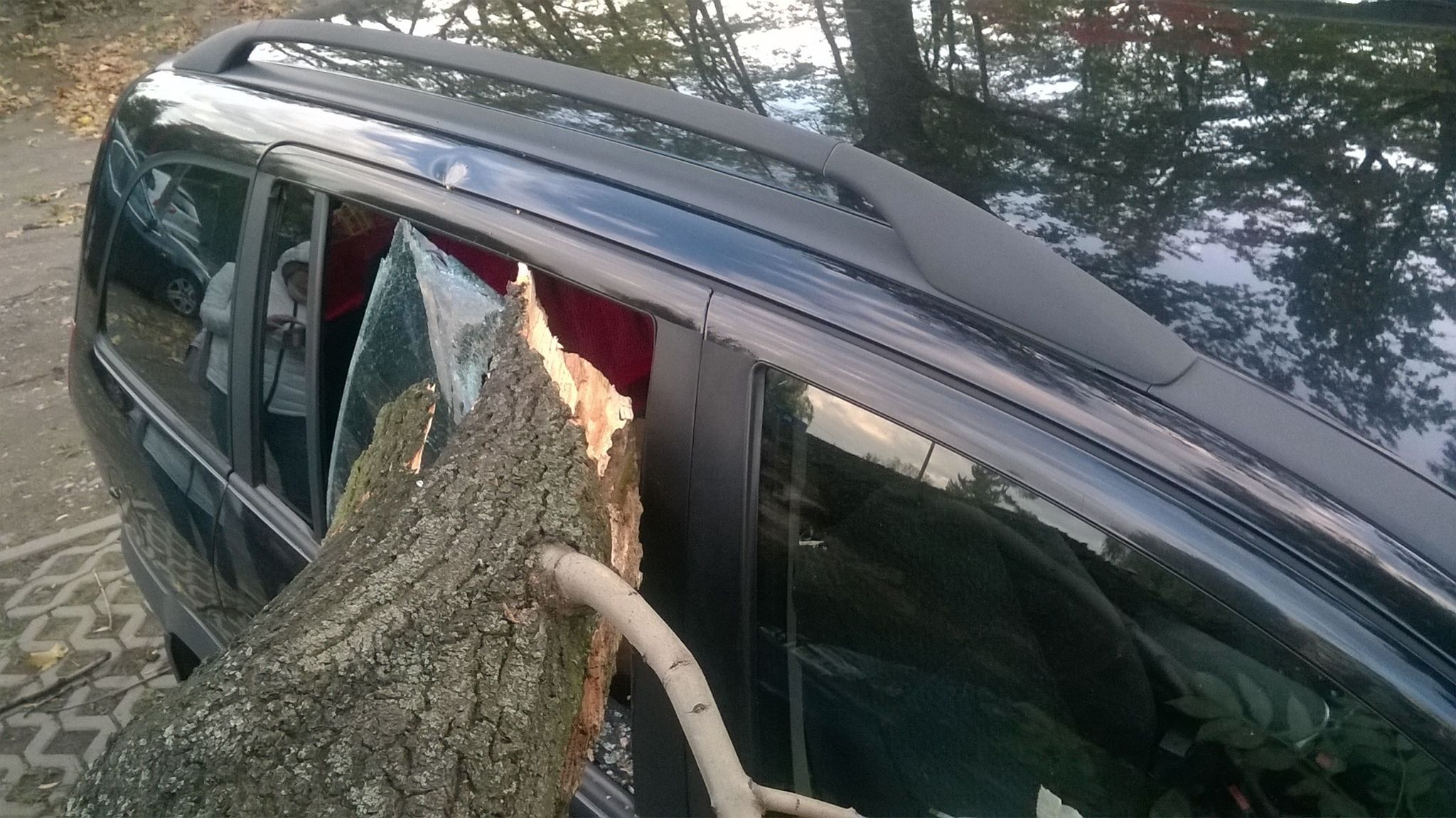 72181419 548272092608847 9049110726731366400 n