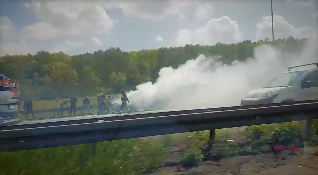 72a2c6f6 33f0 4ef3 9209 bff03bd6b7ea 2