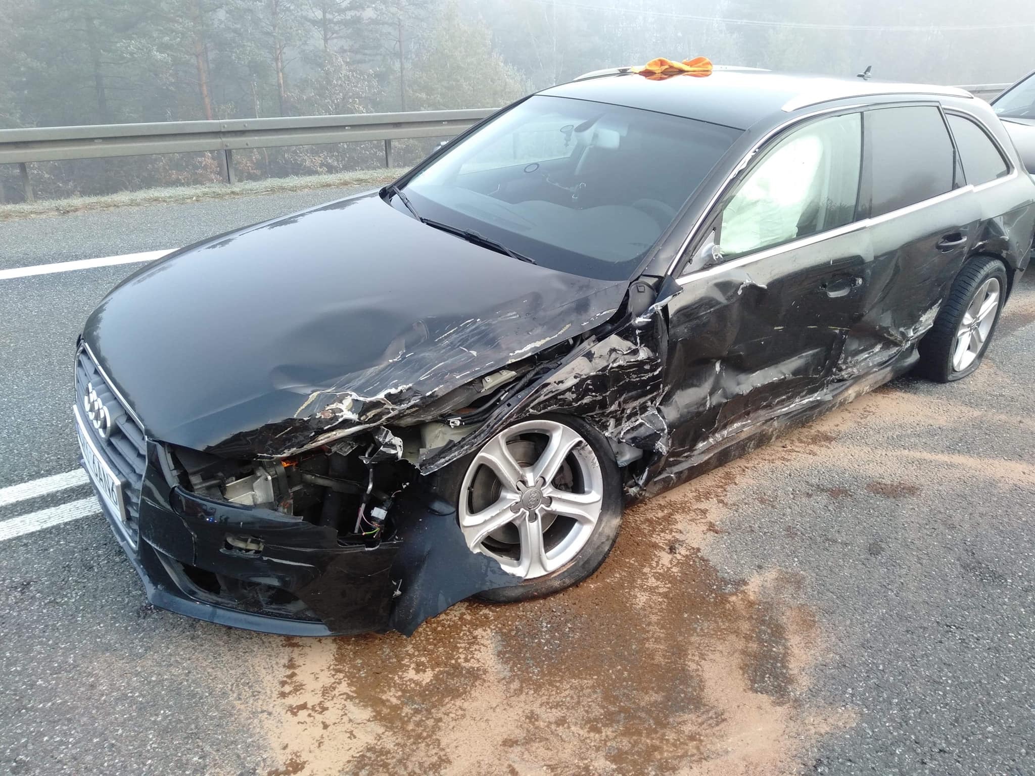 74333791 972787003073308 5620040989730144256 o