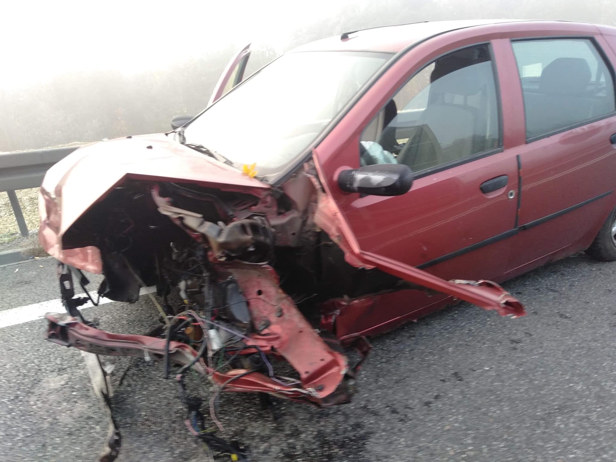 75258518 972787056406636 4793430175192711168 o