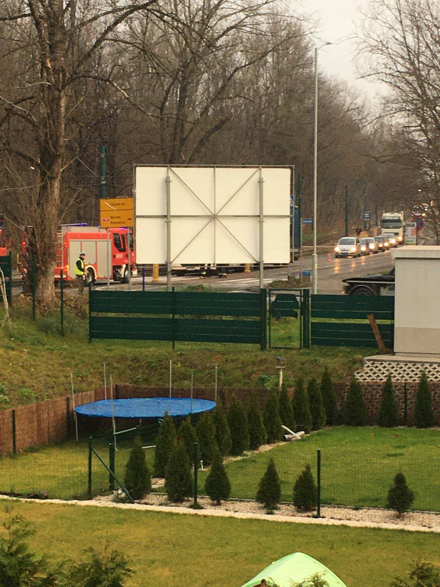 75339508 2877102925668357 3719225267818856448 n