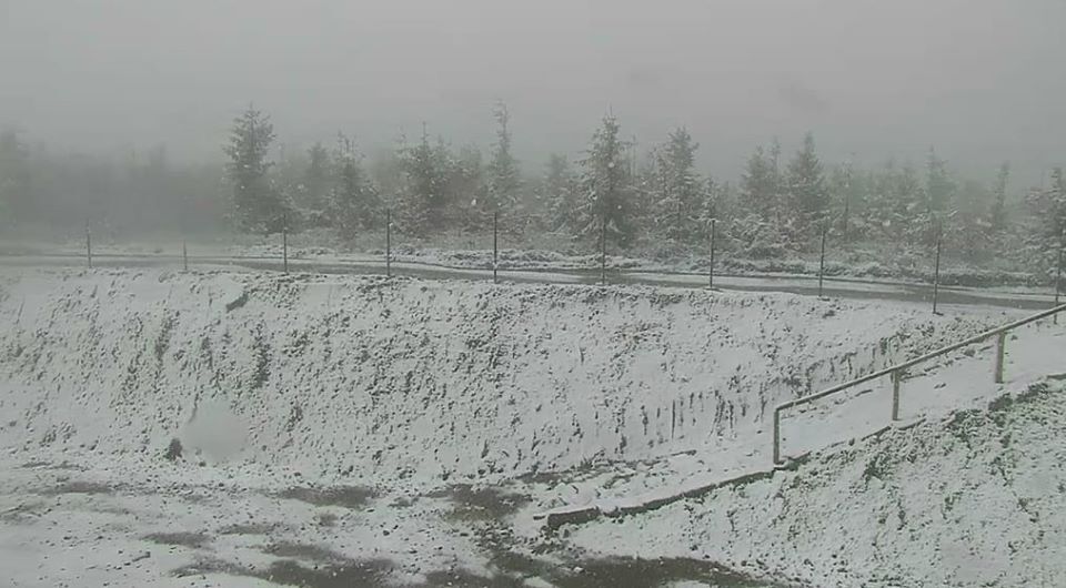 76642461 2708037609253551 2013866459507195904 o