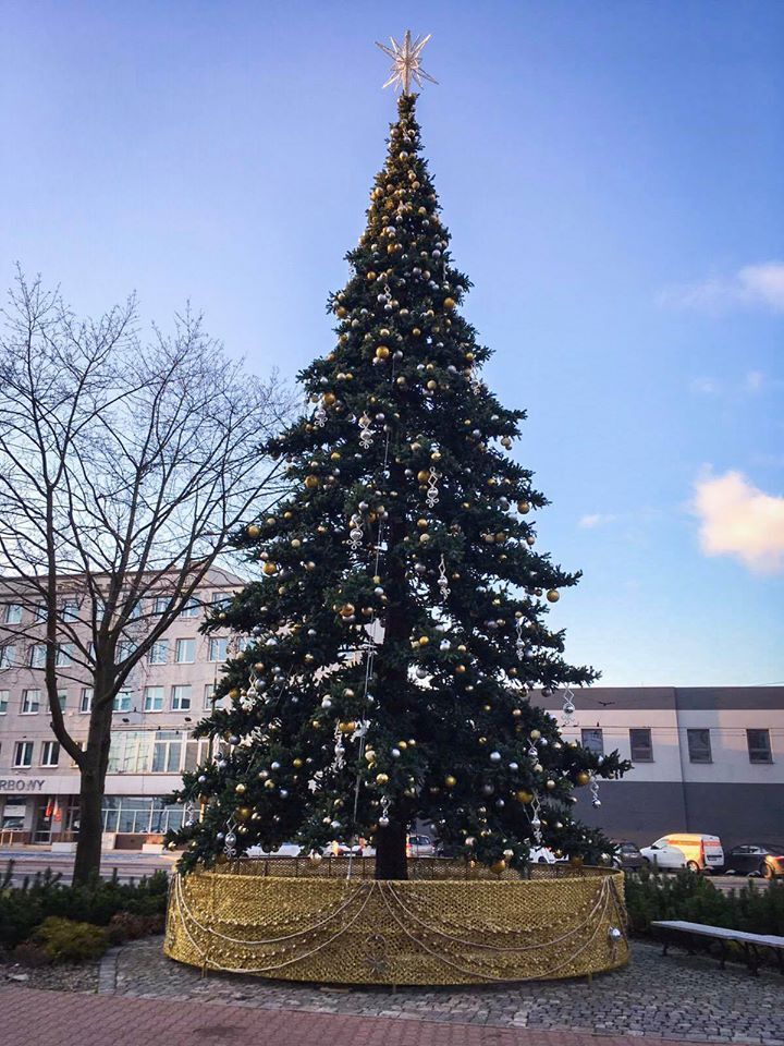 77053385 1249509665256338 5779539182997209088 o