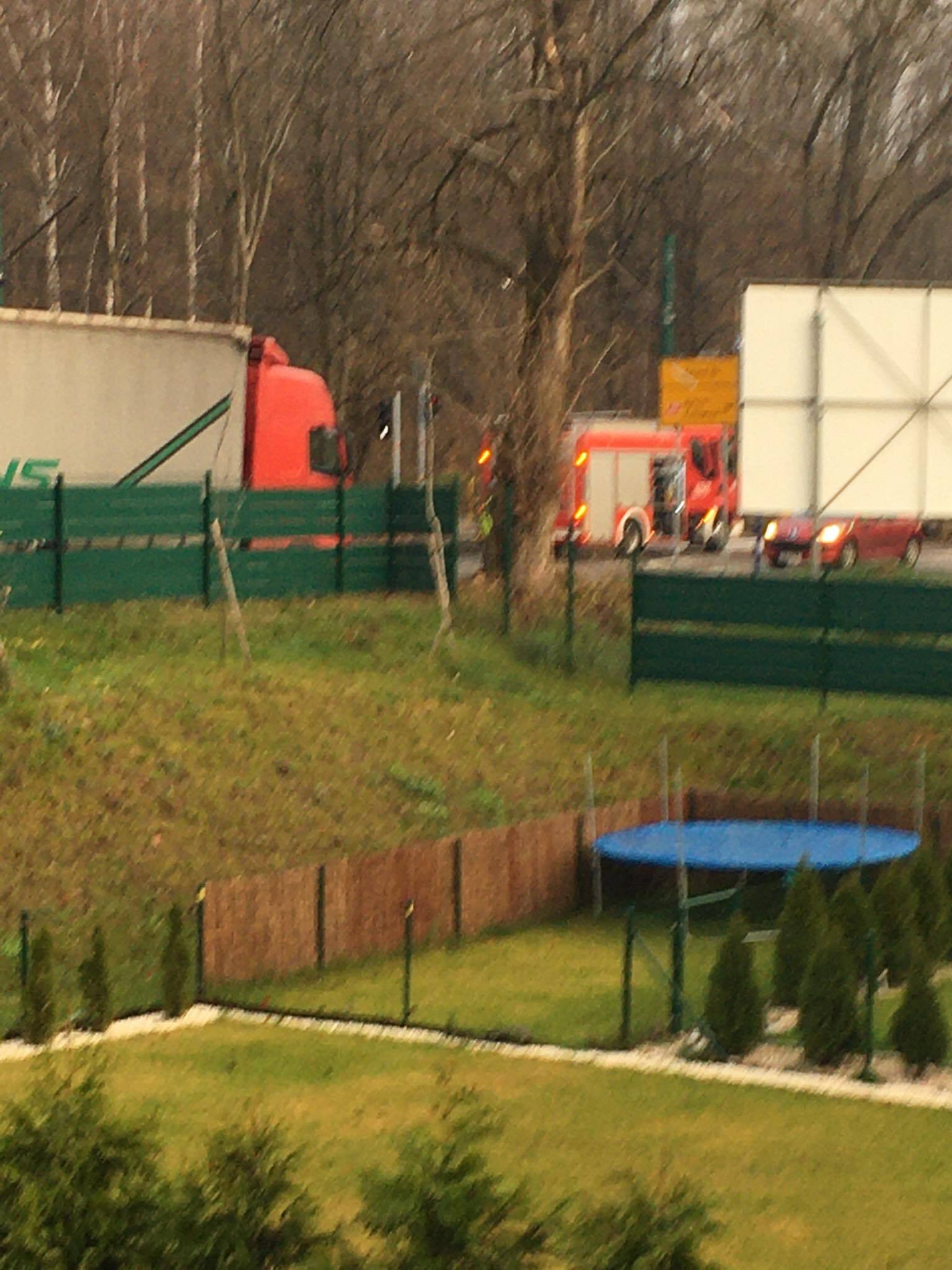 78130403 2432948453636553 145581348176789504 n