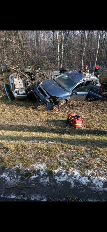 78219409 999321067086568 9199121706608754688 o