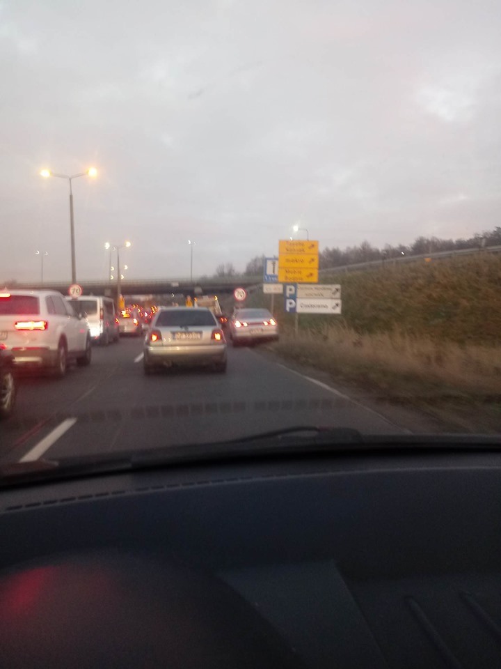 78603075 705535769970310 5399019558906363904 n