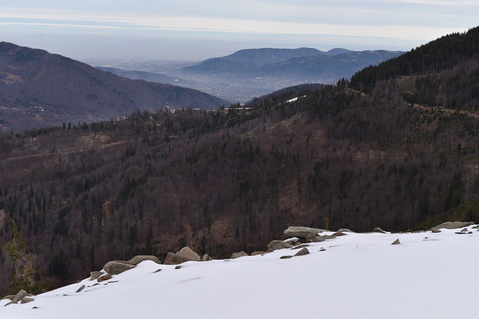 79408440 3464557716952749 3903664774260457472 o