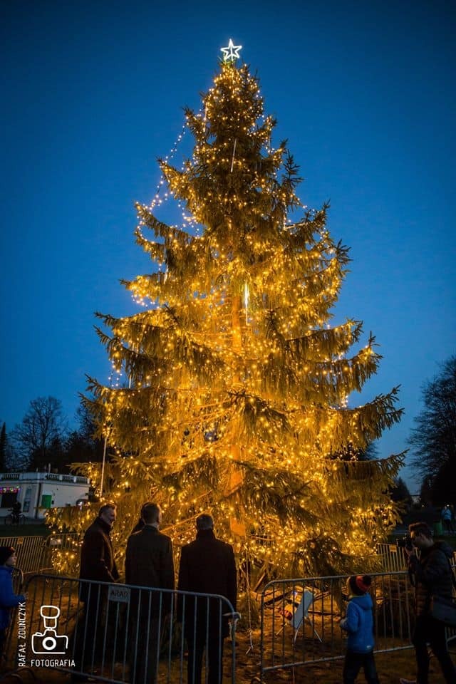 80264338 609588476470056 8131918214402670592 n