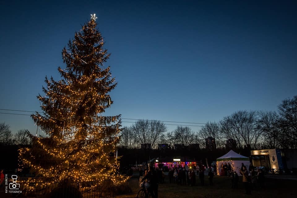 80321629 609588409803396 2840933695924207616 n