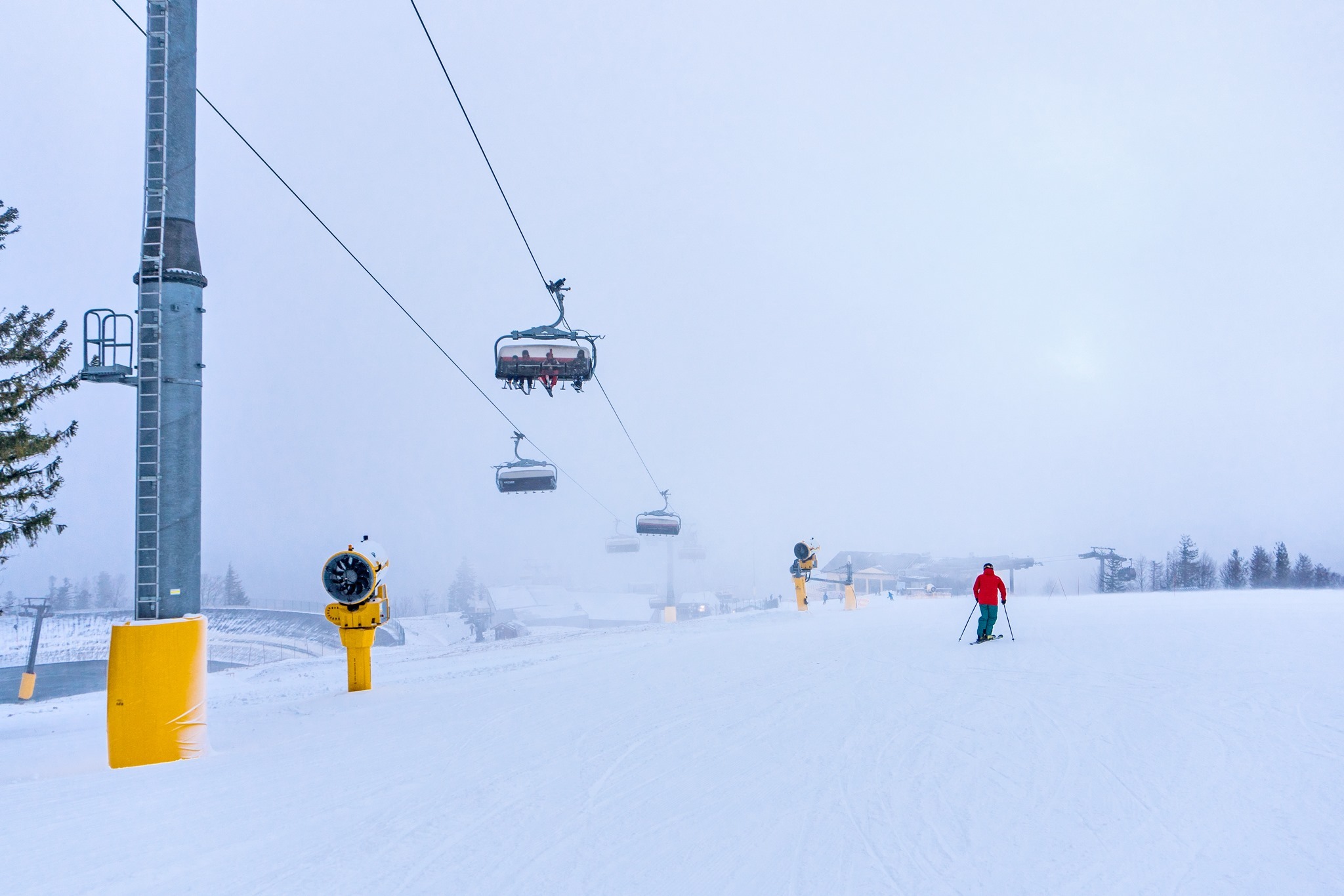 81156897 3493908037351050 1493643381912371200 o