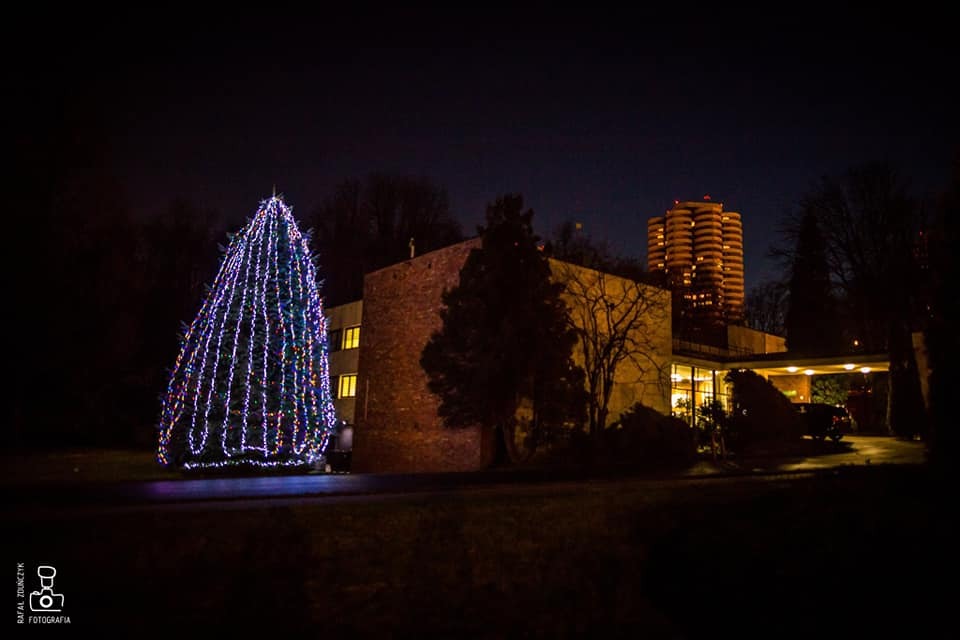 81490560 609588449803392 2917729734106284032 n