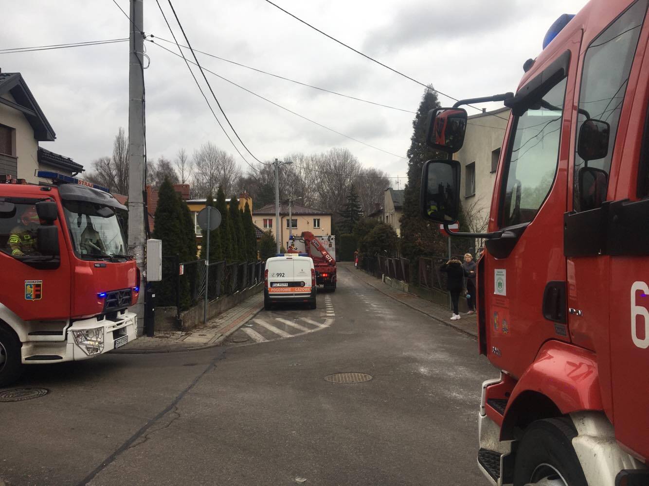 81909023 584867828970863 5982686643562217472 n