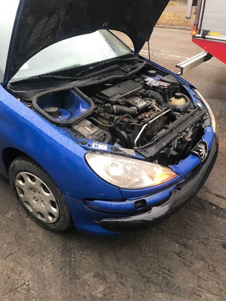 84614236 1052346635117344 7714819165600612352 o