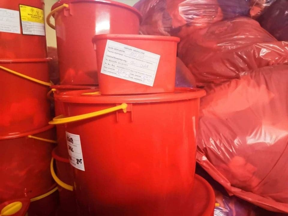 85126488 146825186305402 7357705992286502912 n