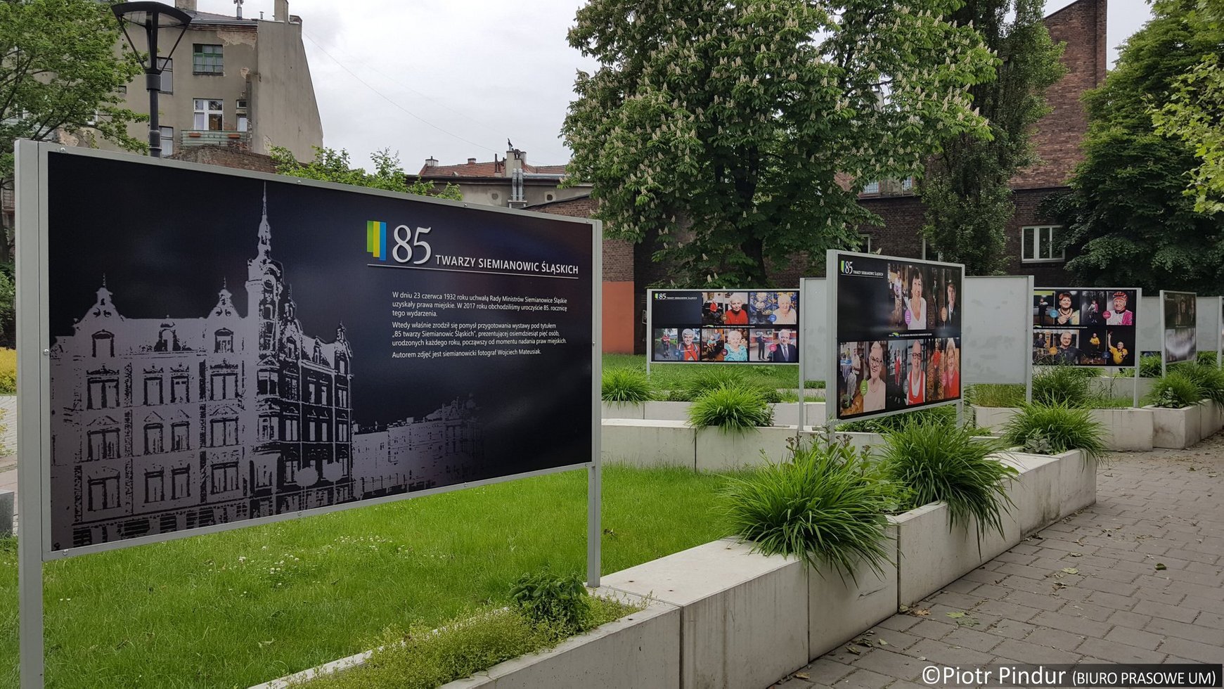 85rynek