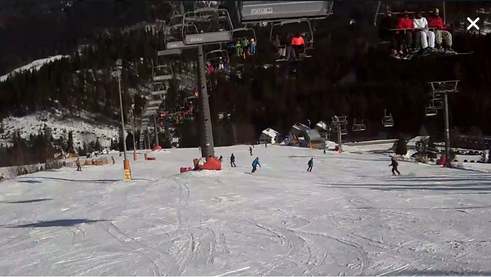 86501983 3159676674095570 2568382054936870912 o