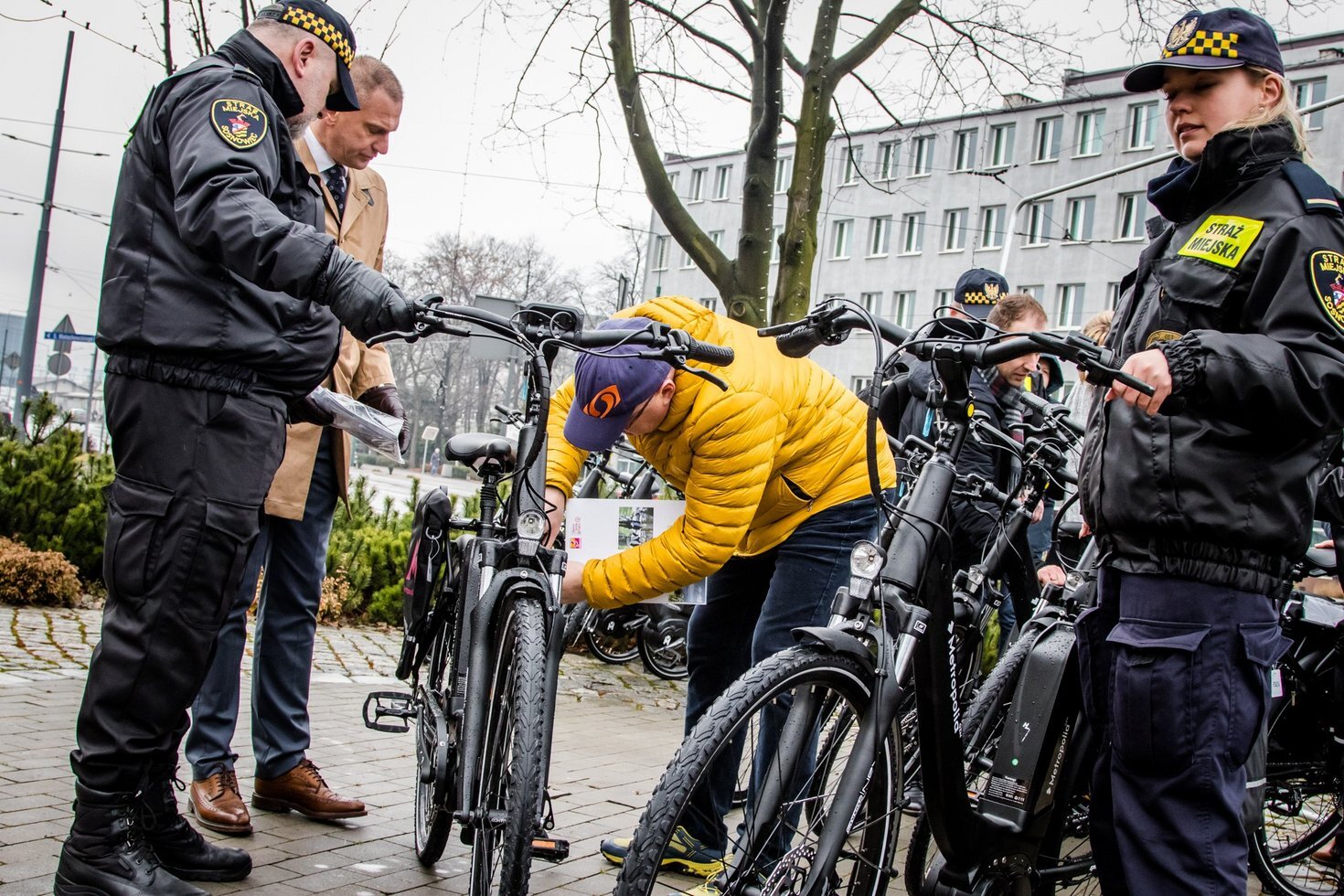 86822091 1389716421209667 6679642553031065600 o