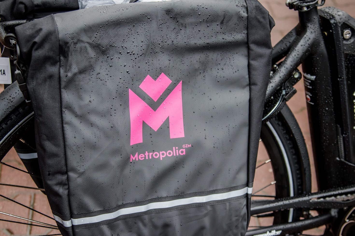 87120699 1389716407876335 1631588316891578368 o