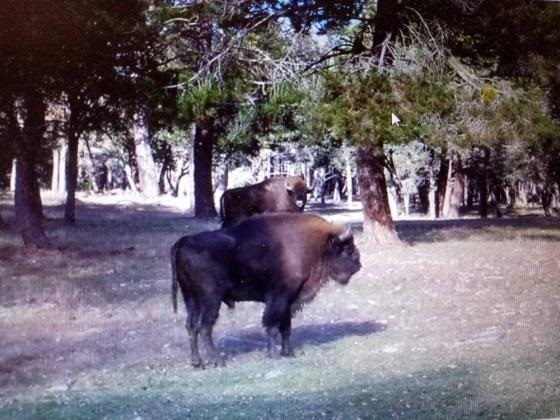 8e8954d5 7bf0 0c20 d2a9 e1e5b15f5a3c