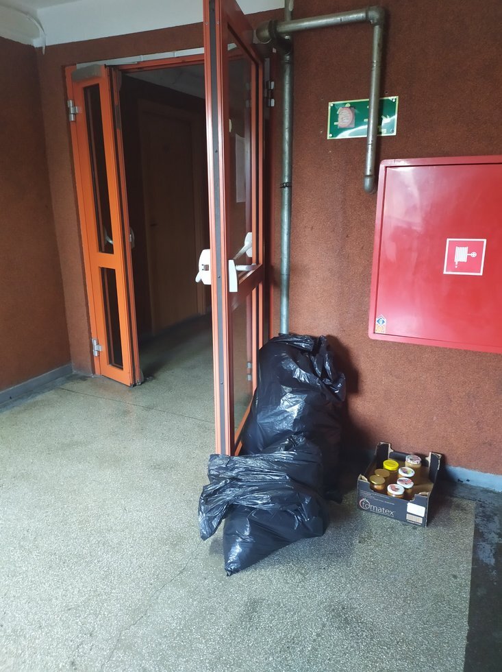 90183985 229576118165414 4275617411769565184 n