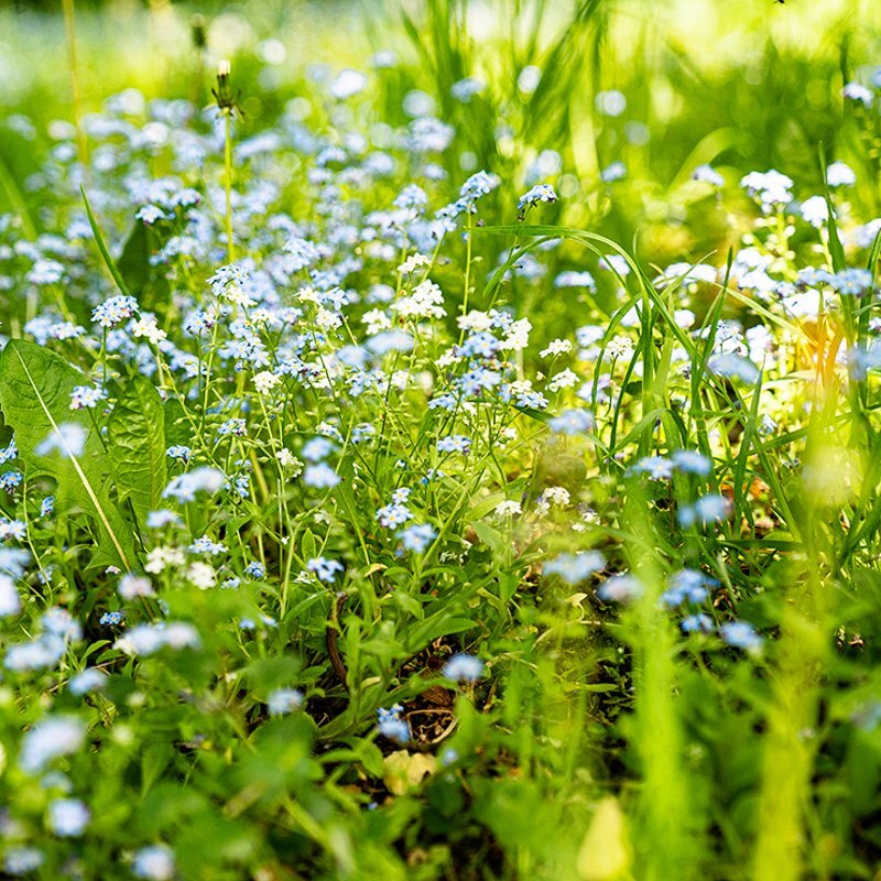 97943413 1587870468030893 220868517103140864 n