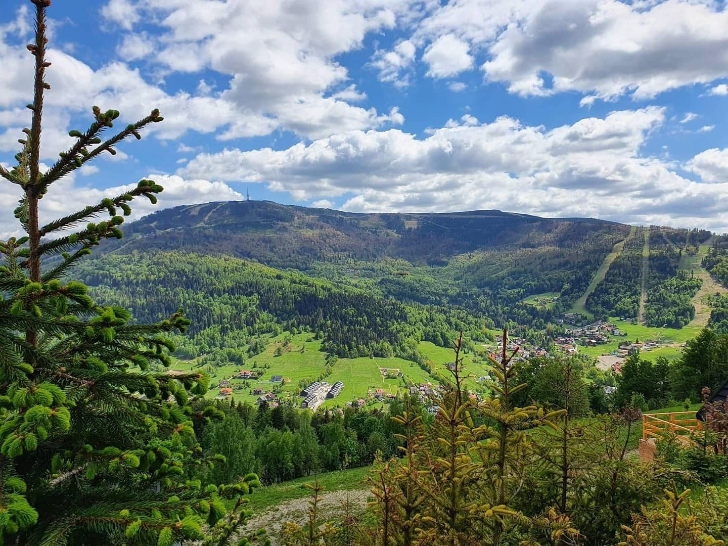 97966058 3160340647356576 2573415133837524992 o